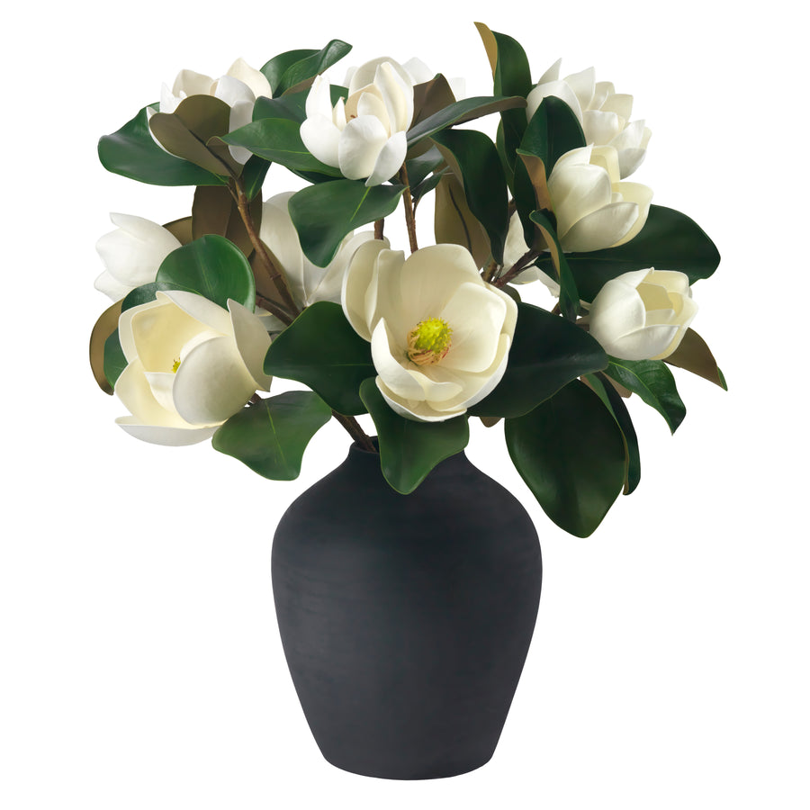 Magnolias in Black Terracotta Vase