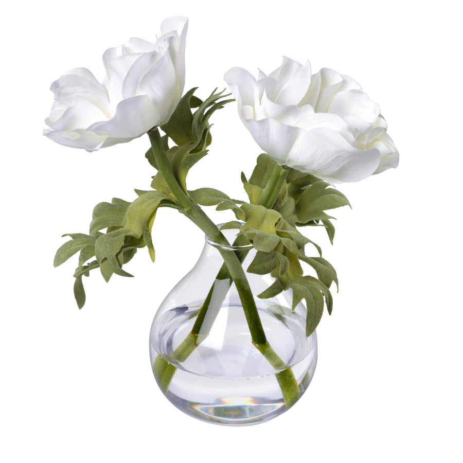 Anemones in Glass Bud Vase