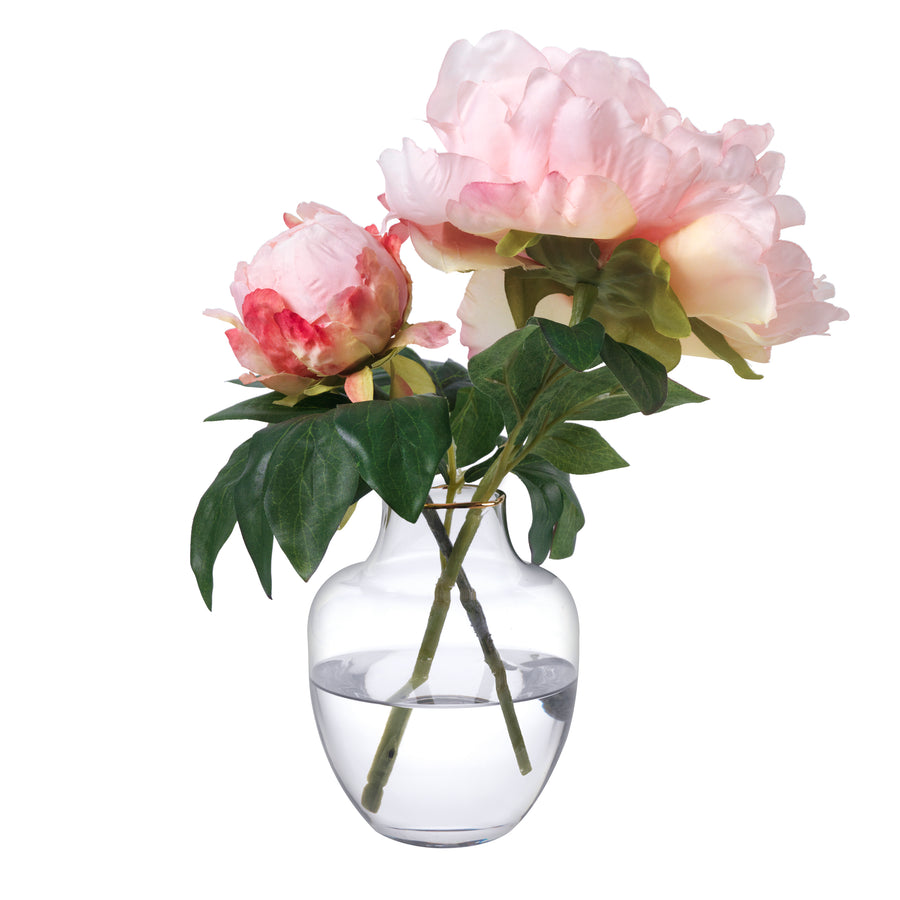 Peonies in Glass Bud Vase