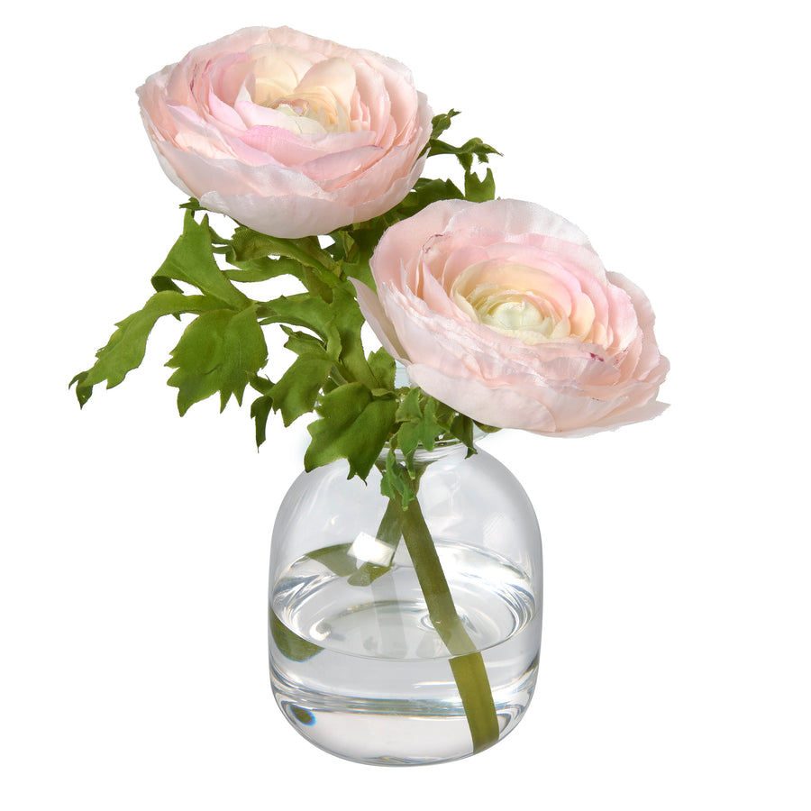 Ranunculus in Glass Bud Vase