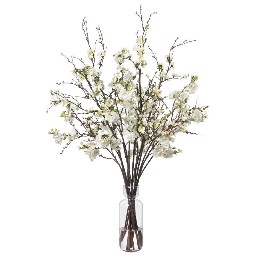 White Cherry and Quince Branches in Glass Vase