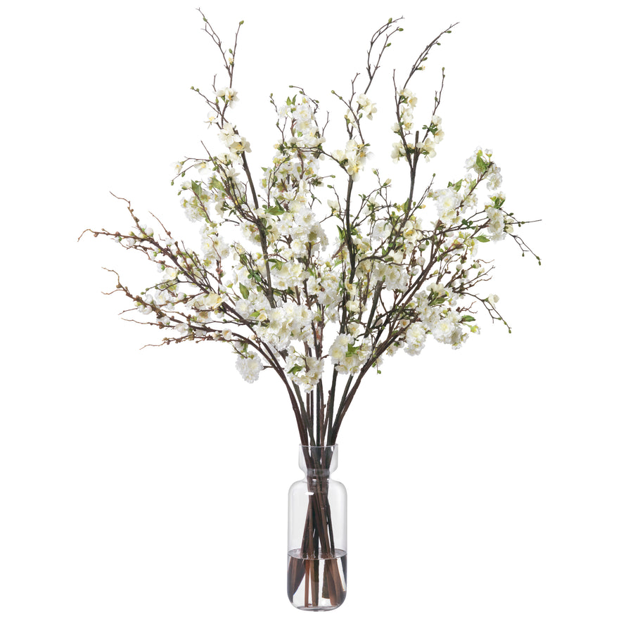 White Cherry and Quince Branches in Glass Vase