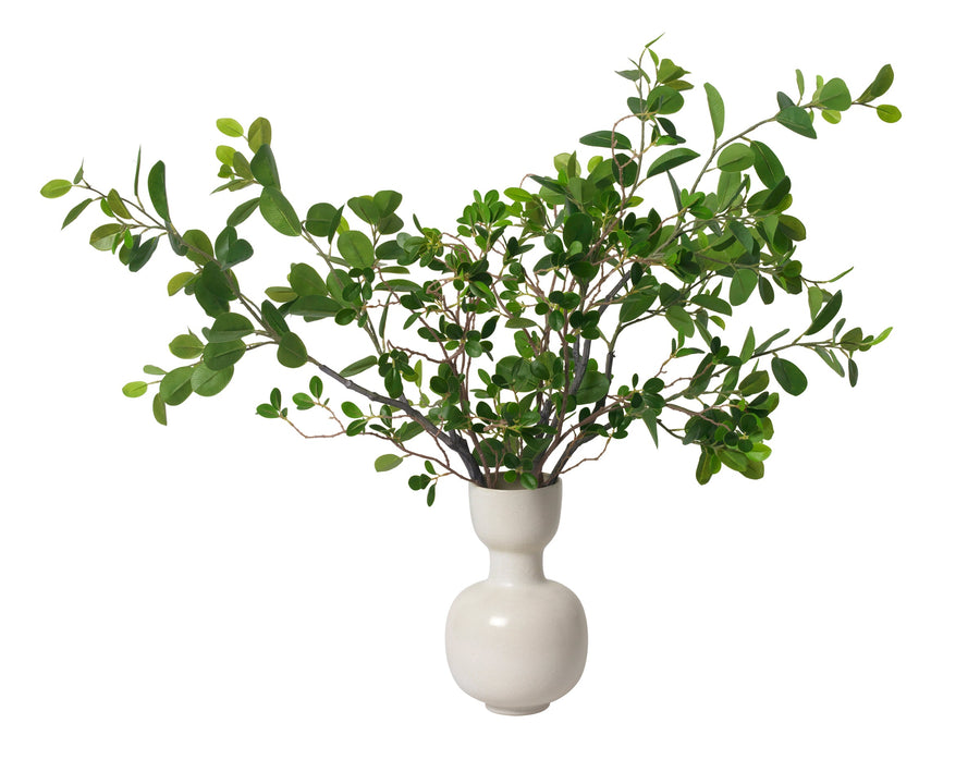 Ficus Branches in Ceramic Vase