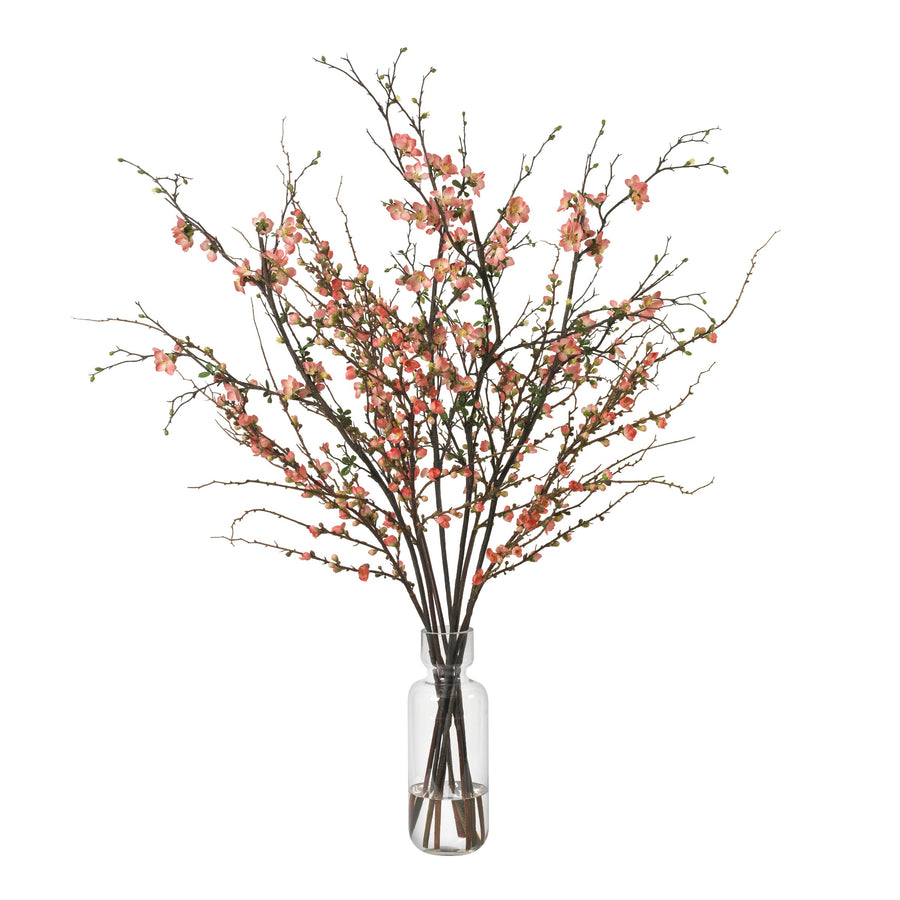 Quince Blossoms in Glass Vase