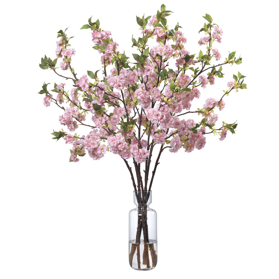 Pink Cherry Blossoms in Glass Vase