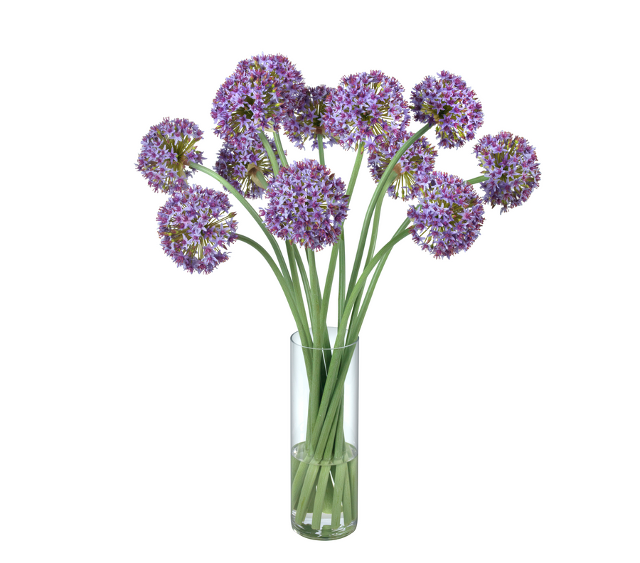 Alliums in Tall Glass Cylinder